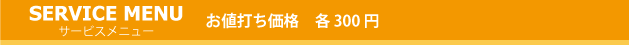 �T�[�r�X���j���[